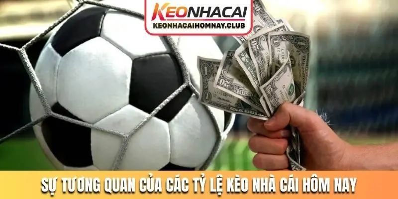 Sự tương quan của các tỷ lệ kèo nhà cái hôm nay